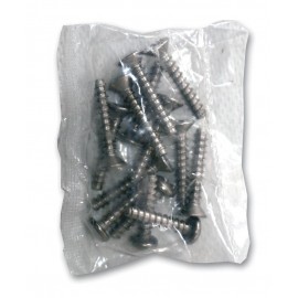Lot de 10 vis inox pour skimmer de piscine Torrente Toi permettent de fixer le cadre du skimmer